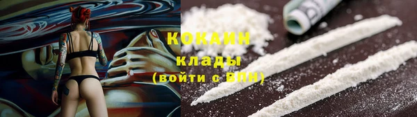 эйфоретик Белокуриха