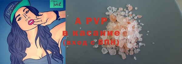 индика Коряжма