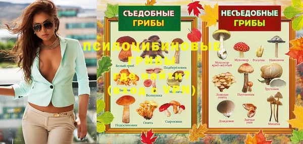 эйфоретик Белокуриха