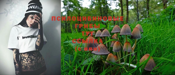 эйфоретик Белокуриха