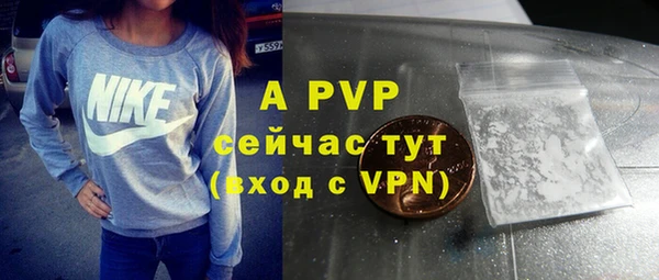 эйфоретик Белокуриха